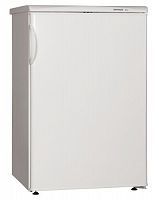 Холодильник SNAIGE R13SM-P6000F фото